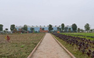 岗乡游玩攻略，岗乡游玩攻略大全