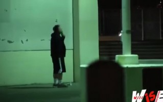 路人恶搞白鸽视频，路人恶搞白鸽视频大全