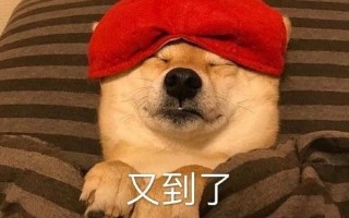 爱情晚安文案沙雕，爱情晚安文案沙雕句子